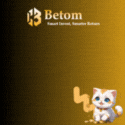 BETOM LIMITED